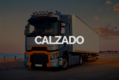 Calzado